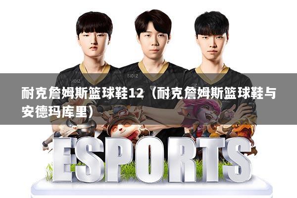 耐克詹姆斯篮球鞋12（耐克詹姆斯篮球鞋与安德玛库里）