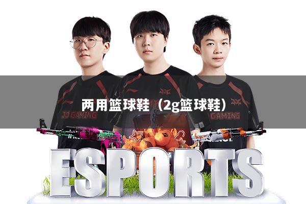两用篮球鞋（2g篮球鞋）